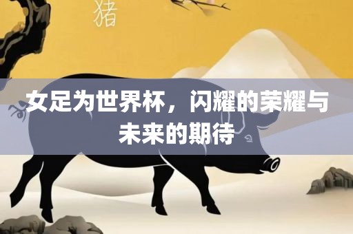 女足为世界杯，闪耀的荣耀与未来的期待