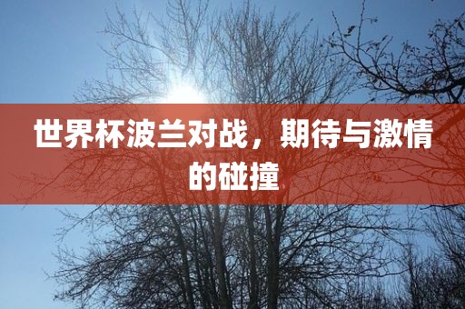 世界杯波兰对战，期待与激情的碰撞