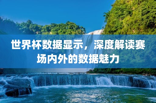 世界杯数据显示，深度解读赛场内外的数据魅力