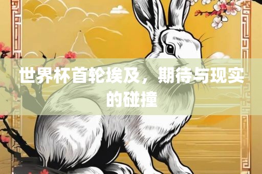 世界杯首轮埃及，期待与现实的碰撞洛阳市法福文化传播有限公司
