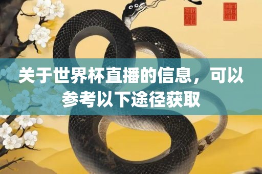 洛阳市法福文化传播有限公司关于世界杯直播的信息，可以参考以下途径获取
