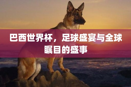 巴西世界杯，足球盛宴与全球瞩目的盛事洛阳市法福文化传播有限公司