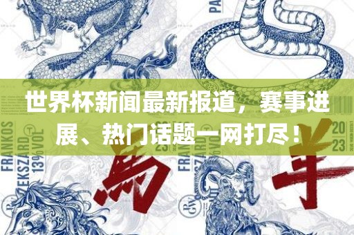 世界杯新闻最新报道，赛事进展、热门话题一网打尽！