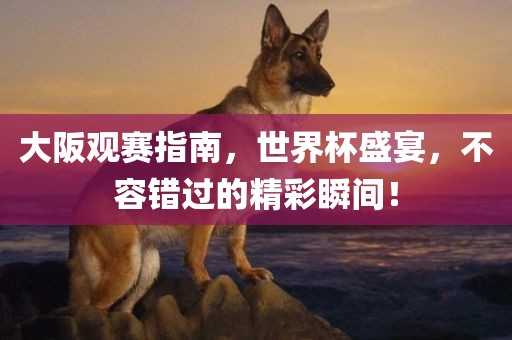 大阪观赛指南，世界杯盛宴，不容错过的精彩瞬间！