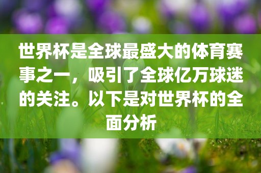 世界杯是全球最盛大的体育赛事之一，吸引了全球亿万球迷的关注。以下是对世界杯的全面分析