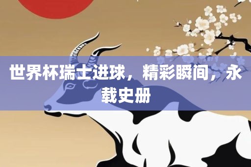 世界杯瑞士进球，精彩瞬间，永载史册