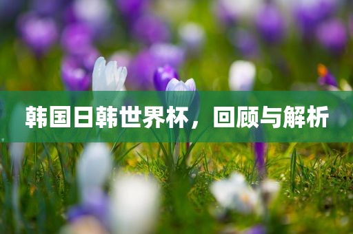 韩国日韩世界杯，回顾与解析洛阳市法福文化传播有限公司