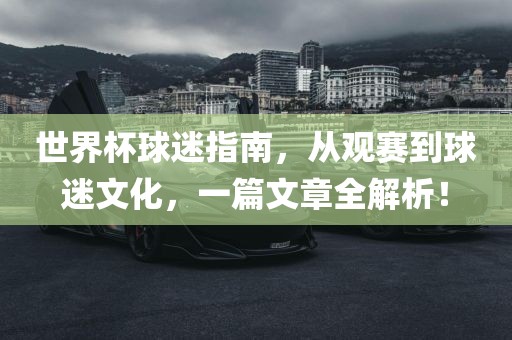 世界杯球迷指南，从观赛到球迷文化，一篇文章全解析！洛阳市法福文化传播有限公司