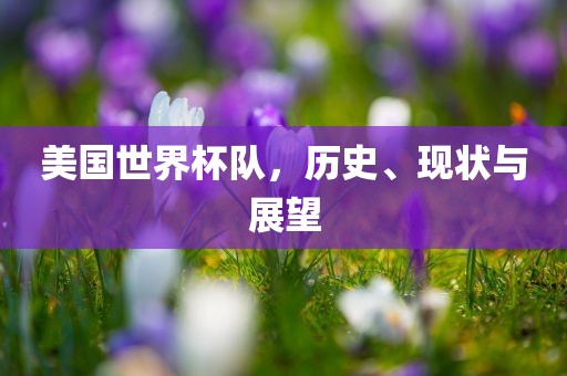 美国世界杯队，历史、现状与展望洛阳市法福文化传播有限公司