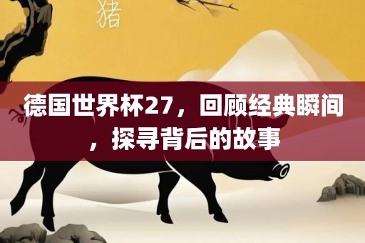 德国世界杯27，回顾经典瞬间，探寻背后的故事