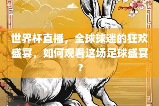世界杯直播，全球球迷的狂欢盛宴，如何观看这场足球盛宴？