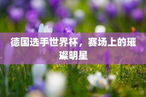 德国选手世界杯，赛场上的璀璨明星