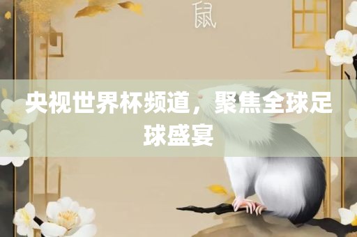 央视世界杯频道，聚焦全球足球盛宴