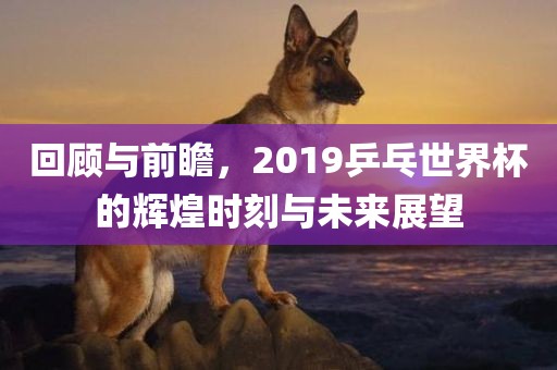 回顾与前瞻，2019乒乓世界杯的辉煌时刻与未来展望