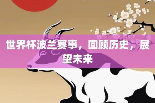 世界杯波兰赛事，回顾历史，展望未来洛阳市法福文化传播有限公司