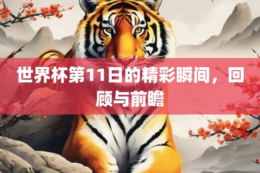 世界杯第11日的精彩瞬间洛阳市法福文化传播有限公司，回顾与前瞻