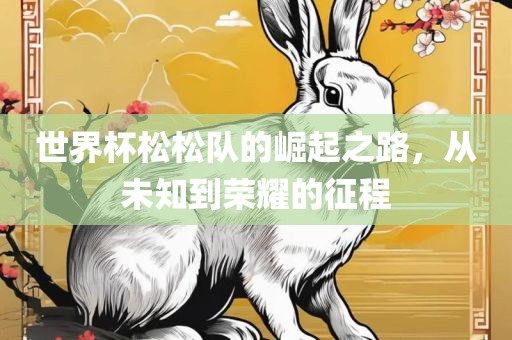 世界杯松松队的崛起之路，从未知到荣耀的征程洛阳市法福文化传播有限公司