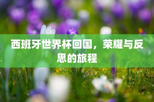 西班牙世界杯回国，荣耀与反思的旅程