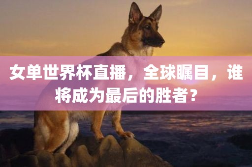 女单世界杯直播，全球瞩目，谁将成为最后的胜者？