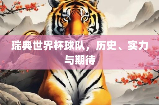 瑞典世界杯球队，历史、实力与期待