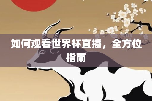 如何观看世界杯直播，全方位指南