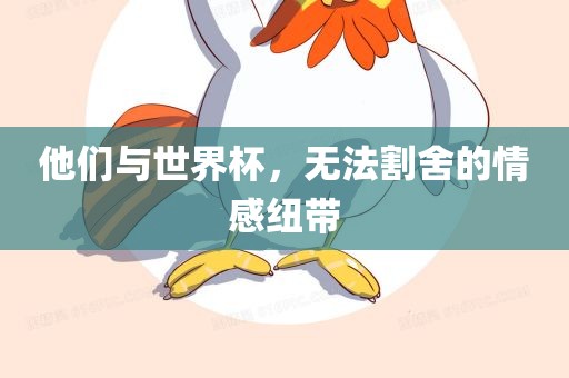 他们与世界杯，无法割舍的情感纽带洛阳市法福文化传播有限公司