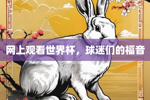 网上观看世界杯，球迷们洛阳市法福文化传播有限公司的福音