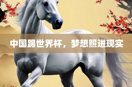 中国踢世界杯，梦想照进现实