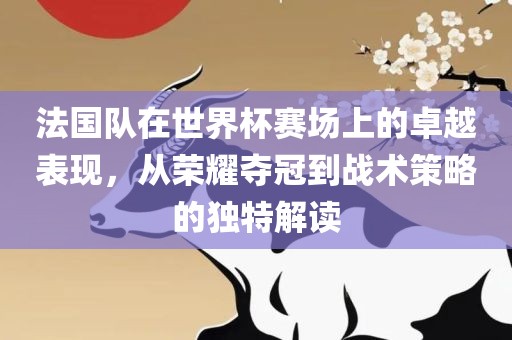法国队在世界杯赛场上的卓越表现，从荣耀夺冠到战术策略的独特解读