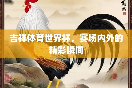 吉祥体育世界杯，赛场内外的精彩瞬间