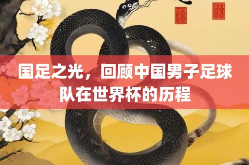 国足之光，回顾中国男子足球队在世界杯的历程