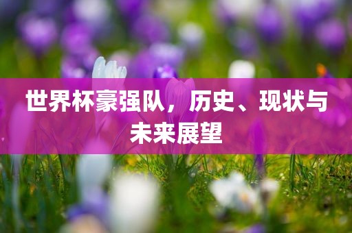 世界杯豪强队，历史、现状与未来展望