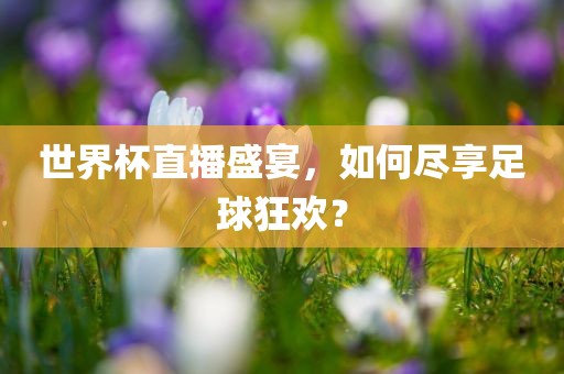 世界杯直播盛宴，如何尽享足球狂欢？
