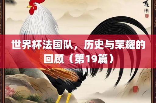 世界杯法国队，历史与荣耀的回顾（第19篇）