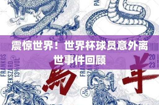 震惊世界！世界杯球员意外离世事件回顾