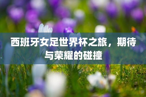 西班牙女足世界杯之旅，期待与荣耀的碰撞洛阳市法福文化传播有限公司
