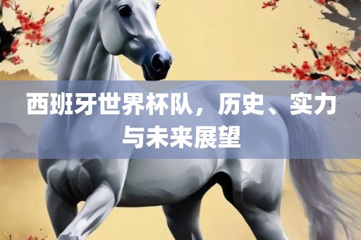 西班牙世界杯队，历史、实力与未来展望
