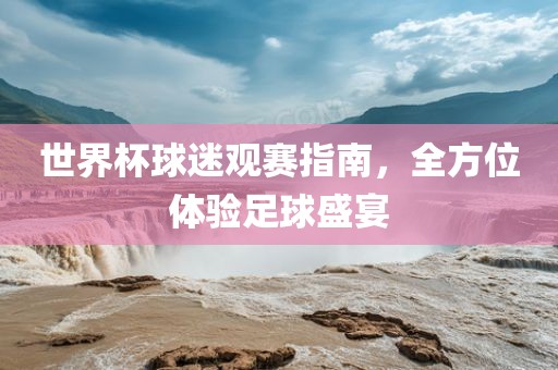 世界杯球迷观赛指南，全方位体验足球盛宴