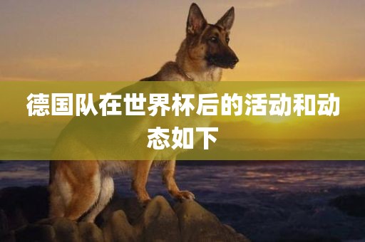 洛阳市法福文化传播有限公司德国队在世界杯后的活动和动态如下