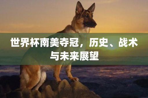 世界杯南美夺冠，历史、战术与未来展望