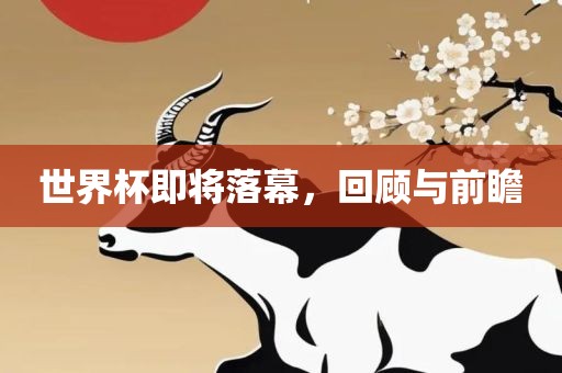 世界杯即将落幕，回顾与前瞻