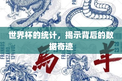 世界杯的统计，揭示背后的数据奇迹