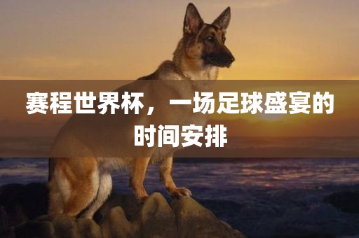赛程世界杯，一场足球盛宴的时间安排