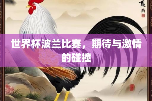 世界杯波兰比赛，期待与激情的碰撞