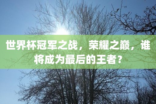 世界杯冠军之战，荣耀之巅，谁将成为最后的王者？