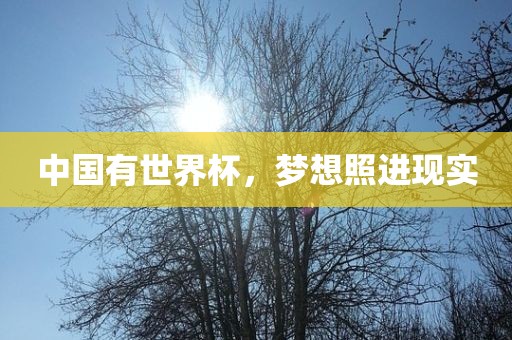 中国有世界杯，梦想照进现实