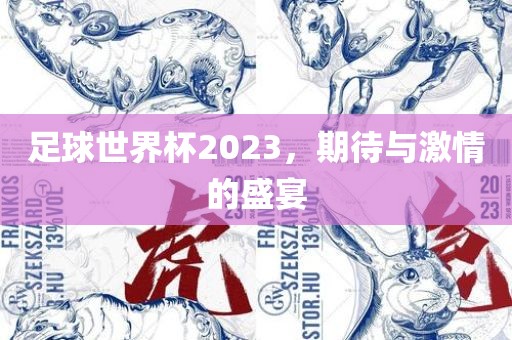 足球世界杯2023，期待与激情的盛宴