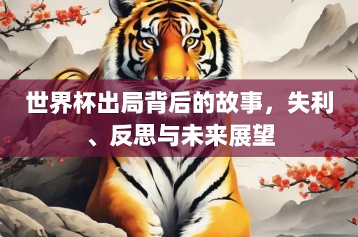 世界杯出局背后的故事，失利、反思与未来展望