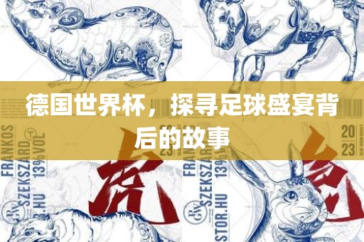 德国世界杯，探寻足球盛宴背后的故事