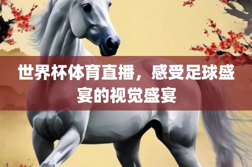 世界杯体育直播，感受足球盛宴的视觉盛宴